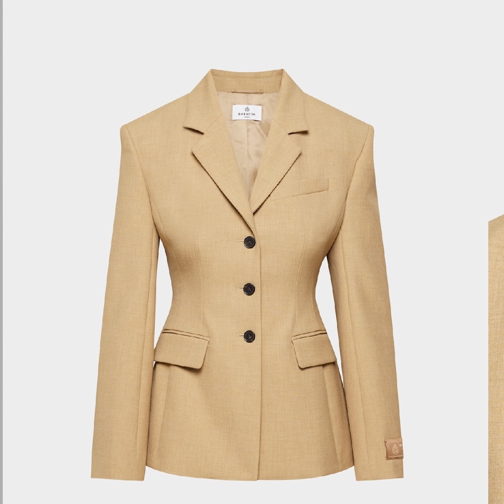 Aritzia Babaton Standout blazer Re essential